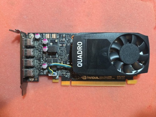 Nvidia quadro p1000 - 4gb, gddr5