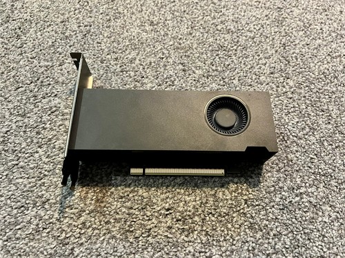 Nvidia rtx 2000 ada - nvidia, 16gb
